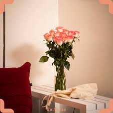 فروش گل رز